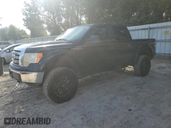 ✅ 2010 Ford F-150 XL • VIN: 1FTEW1E88AFA79425 • Lot: 84428045. Wystawiony na Copart z przebiegiem 148 428 mil. Bezpłatny archiwum sprzedaży aukcyjnych z USA i szczegółowy raport historii pojazdu na DreamBid. Zdjęcie 1.