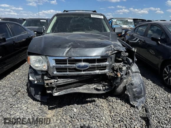 ✅ 2008 Ford Escape XLS • VIN: 1FMCU02Z08KB06103 • Lot: 60934415. Listed on Copart with Not provided. Free auction sales archive from the USA and detailed vehicle history report at DreamBid. Image 5.