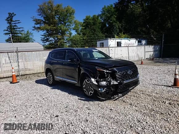 2021 Hyundai Santa Fe Calligraphy z VIN 5NMS5DAL8MH329254, wystawiony jako Copart lot #58724532 z przebiegiem 24 175 mil mil oraz . Historia ofert i sprzedaży dostępna na DreamBid. Obrazek 11.