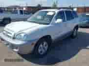 2005 Hyundai Santa Fe GLS z VIN KM8SC73E75U968818, wystawiony jako IAAI lot #43040301 z przebiegiem 200 279 mil mil oraz . Historia ofert i sprzedaży dostępna na DreamBid. Obrazek 2.