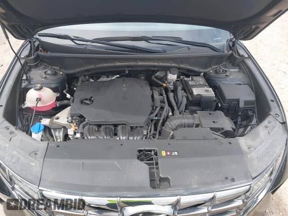 2023 Hyundai Tucson Limited z VIN 5NMJECAE1PH190001, wystawiony jako IAAI lot #43064225 z przebiegiem 54 919 mil mil oraz . Historia ofert i sprzedaży dostępna na DreamBid. Obrazek 10.