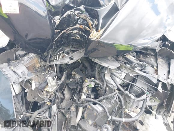 ✅ 2017 Nissan Rogue SV • VIN: JN1BJ1CP1HW019978 • Lot: 42523541. Listed on IAAI with Not provided. Free auction sales archive from the USA and detailed vehicle history report at DreamBid. Image 10.