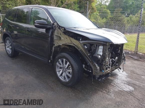 ✅ 2019 Honda Pilot EX-L • VIN: 5FNYF5H52KB041345 • Lot: 42029069. Listed on IAAI with 55,231 mi. Free auction sales archive from the USA and detailed vehicle history report at DreamBid. Image 1.