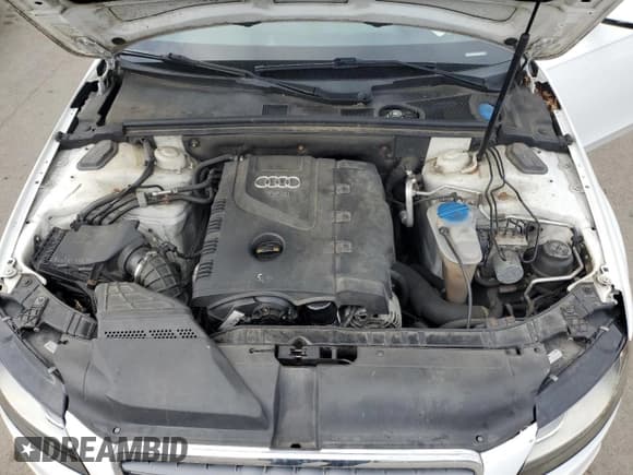 ✅ 2010 Audi A4 Premium • VIN: WAUBFAFL3AN055641 • Lot: 90290725. Listed on Copart with 143,649 mi. Free auction sales archive from the USA and detailed vehicle history report at DreamBid. Image 11.