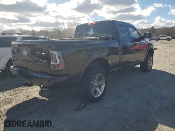 ✅ 2010 Dodge 1500 SLT • VIN: 1D7RV1GT0AS173804 • Lot: 49714605. Wystawiony na Copart z przebiegiem 125 558 mil. Bezpłatny archiwum sprzedaży aukcyjnych z USA i szczegółowy raport historii pojazdu na DreamBid. Zdjęcie 3.
