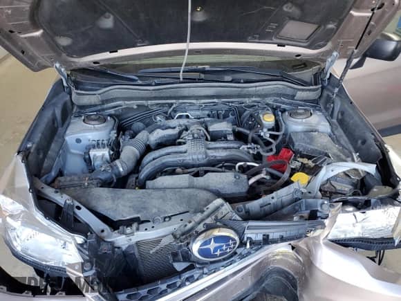 2014 Subaru Forester 2.5i with VIN JF2SJAAC4EH481417, listed as a Copart auction lot 69874765 with 82,145 mi miles and Salvage title. Bid and sale history available at DreamBid. Image 12.