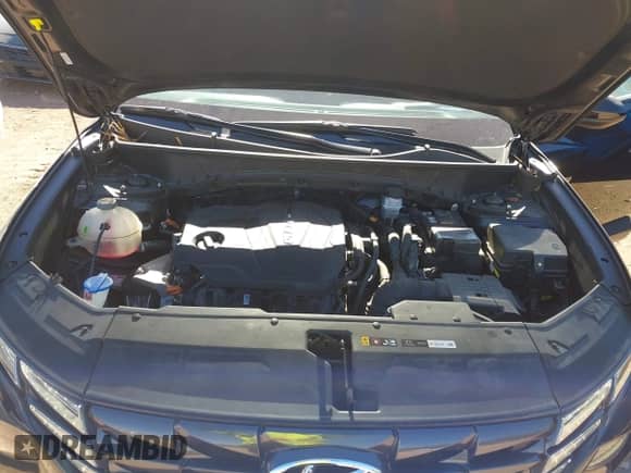 ✅ 2024 Hyundai Tucson SEL • VIN: KM8JB3DE1RU335677 • Лот: 43622850. Размещён на IAAI с пробегом 39 305 миль миль. Получите бесплатный доступ к архиву аукционных продаж из США и посмотрите подробный отчёт об истории автомобиля на DreamBid. Изображение 10.