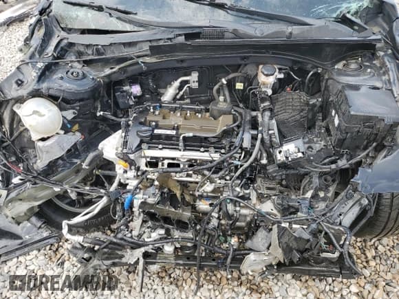 ✅ 2023 Hyundai Santa Fe SEL • VIN: 5NMS2DAJ5PH557692 • Lot: 63784944. Wystawiony na Copart z przebiegiem 52 374 mil. Bezpłatny archiwum sprzedaży aukcyjnych z USA i szczegółowy raport historii pojazdu na DreamBid. Zdjęcie 11.