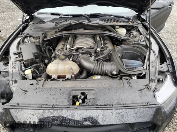 ✅ 2017 Ford Mustang GT • VIN: 1FA6P8CF4H5239706 • Lot: 90131935. Wystawiony na Copart z przebiegiem 71 433 mil. Bezpłatny archiwum sprzedaży aukcyjnych z USA i szczegółowy raport historii pojazdu na DreamBid. Zdjęcie 11.