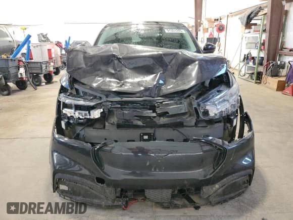 ✅ 2022 Ford Mustang Mach-E Premium • VIN: 3FMTK3SU7NMA16933 • Lot: 91351245. Listed on Copart with 133,178 mi. Free auction sales archive from the USA and detailed vehicle history report at DreamBid. Image 5.