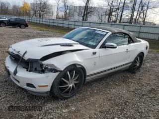 ✅ 2012 Ford Mustang V6 • VIN: 1ZVBP8EM0C5287083 • Lot: 91661055. Listed on Copart with 142,155 mi. Free auction sales archive from the USA and detailed vehicle history report at DreamBid. Image 1.