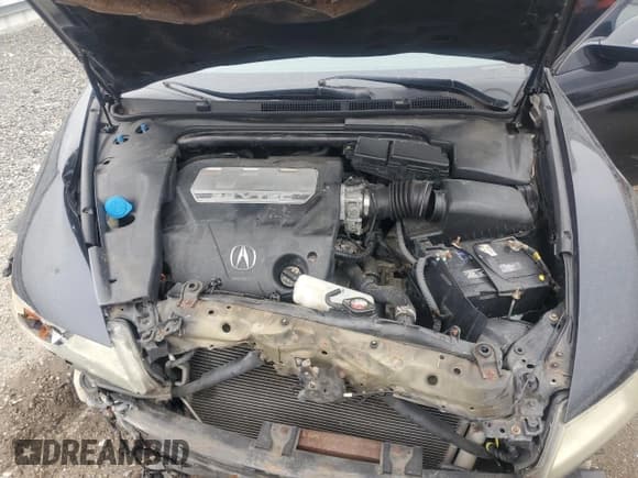 ✅ 2008 Acura TL • VIN: 19UUA66228A029159 • Lot: 90274715. Listed on Copart with Not provided. Free auction sales archive from the USA and detailed vehicle history report at DreamBid. Image 11.