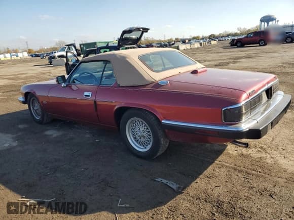 ✅ 1993 Jaguar XJS • VIN: SAJNW4745PC186021 • Лот: 77021474. Опубликован ранее на Copart с пробегом 74 120 миль. Бесплатный доступ к архиву аукционных продаж из США и подробный отчёт об истории автомобиля на DreamBid. Изображение 2.