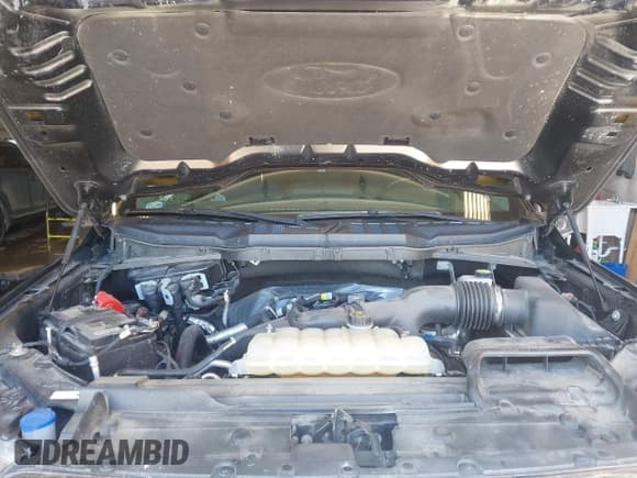 ✅ 2021 Ford F-150 XL • VIN: 1FTEX1EP1MKE35570 • Lot: 41611090. Listed on IAAI with 69,020 mi. Free auction sales archive from the USA and detailed vehicle history report at DreamBid. Image 10.