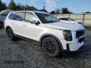 ✅ 2021 Kia Telluride EX • VIN: 5XYP3DHC0MG182228 • Lot: 81738175. Listed on Copart with 53,181 mi. Free auction sales archive from the USA and detailed vehicle history report at DreamBid. Image 4.