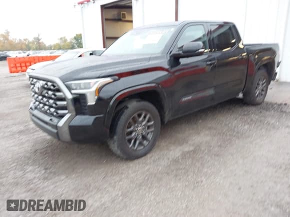 ✅ 2022 Toyota Tundra Platinum • VIN: 5TFNA5DB4NX025817 • Lot: 43638684. Wystawiony na IAAI z przebiegiem 76 854 mil. Bezpłatny archiwum sprzedaży aukcyjnych z USA i szczegółowy raport historii pojazdu na DreamBid. Zdjęcie 17.