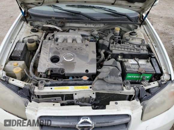 ✅ 2002 Nissan Maxima GXE • VIN: JN1DA31D62T439368 • Lot: 55974985. Wystawiony na Copart z przebiegiem 124 551 mil. Bezpłatny archiwum sprzedaży aukcyjnych z USA i szczegółowy raport historii pojazdu na DreamBid. Zdjęcie 11.