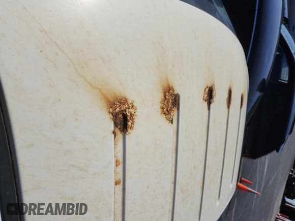 ✅ 2008 Ford F-150 XL • VIN: 1FTRF12208KB17197 • Lot: 43937892. Listed on IAAI with 36,639 mi. Free auction sales archive from the USA and detailed vehicle history report at DreamBid. Image 26.