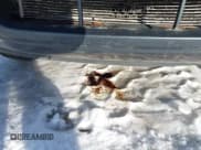 ✅ 2008 Mercury Mariner Premier • VIN: 4M2CU97148KJ40583 • Lot: 43889242. Listed on IAAI with 236,284 mi. Free auction sales archive from the USA and detailed vehicle history report at DreamBid. Image 6.