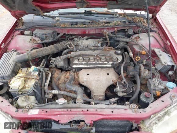 ✅ 2000 Honda Accord SE • VIN: JHMCG5679YC026129 • Lot: 42492502. Listed on IAAI with 204,619 mi. Free auction sales archive from the USA and detailed vehicle history report at DreamBid. Image 10.