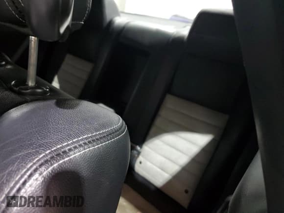 ✅ 2009 Dodge Challenger R/T • VIN: 2B3LJ54TX9H509969 • Lot: 84989044. Wystawiony na Copart z przebiegiem 228 623 mil. Bezpłatny archiwum sprzedaży aukcyjnych z USA i szczegółowy raport historii pojazdu na DreamBid. Zdjęcie 10.