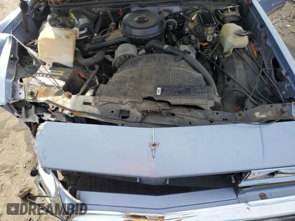 ✅ 1984 Oldsmobile Cutlass • VIN: 1G3AM69A1EM412659 • Lot: 85236294. Wystawiony na Copart z przebiegiem 80 542 mil. Bezpłatny archiwum sprzedaży aukcyjnych z USA i szczegółowy raport historii pojazdu na DreamBid. Zdjęcie 11.