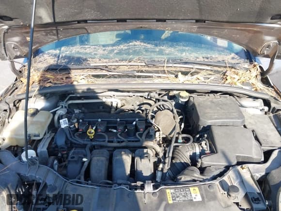 ✅ 2014 Ford Focus Titanium • VIN: 1FADP3N29EL416455 • Lot: 43717528. Listed on IAAI with 144,815 mi. Free auction sales archive from the USA and detailed vehicle history report at DreamBid. Image 10.