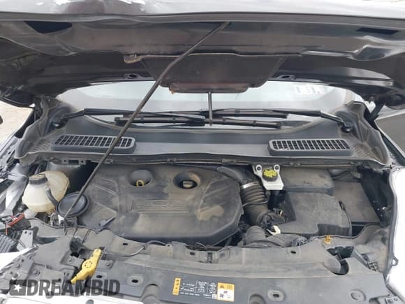 ✅ 2019 Ford Escape Titanium • VIN: 1FMCU9J98KUB93220 • Lot: 43702825. Wystawiony na IAAI z przebiegiem 69 578 mil. Bezpłatny archiwum sprzedaży aukcyjnych z USA i szczegółowy raport historii pojazdu na DreamBid. Zdjęcie 10.