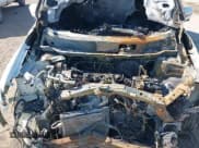 ✅ 2017 Nissan Rogue SV • VIN: KNMAT2MV9HP562060 • Lot: 43431422. Listed on IAAI with Not provided. Free auction sales archive from the USA and detailed vehicle history report at DreamBid. Image 10.