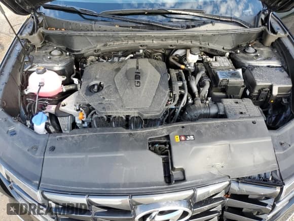 ✅ 2024 Hyundai Tucson SEL • VIN: 5NMJBCDE6RH323584 • Lot: 67906004. Wystawiony na Copart z przebiegiem 16 611 mil. Bezpłatny archiwum sprzedaży aukcyjnych z USA i szczegółowy raport historii pojazdu na DreamBid. Zdjęcie 12.