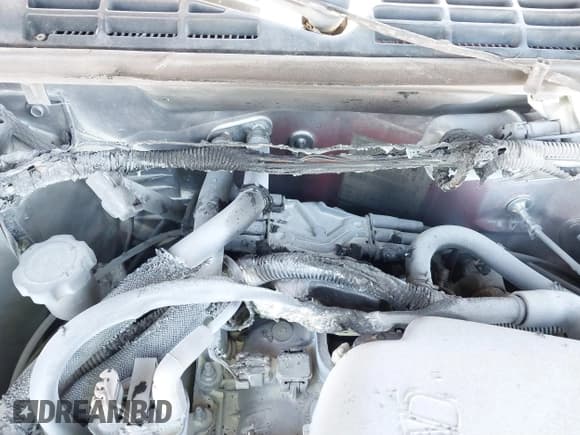 ✅ 1999 Chevrolet S-10 • VIN: 1GCCS14X6X8212451 • Лот: 41891148. Опубликован ранее на IAAI с пробегом Не указан. Бесплатный доступ к архиву аукционных продаж из США и подробный отчёт об истории автомобиля на DreamBid. Изображение 6.