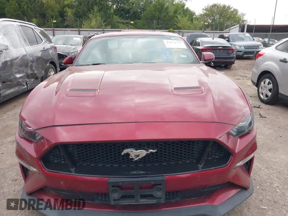 ✅ 2019 Ford Mustang GT Premium • VIN: 1FA6P8CF2K5163541 • Lot: 43174731. Wystawiony na IAAI z przebiegiem 105 898 mil. Bezpłatny archiwum sprzedaży aukcyjnych z USA i szczegółowy raport historii pojazdu na DreamBid. Zdjęcie 12.
