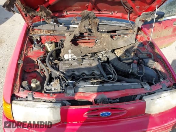 ✅ 1993 Ford Escort • VIN: 1FAPP14J2PW292170 • Lot: 43236680. Wystawiony na IAAI z przebiegiem 27 311 mil. Bezpłatny archiwum sprzedaży aukcyjnych z USA i szczegółowy raport historii pojazdu na DreamBid. Zdjęcie 10.