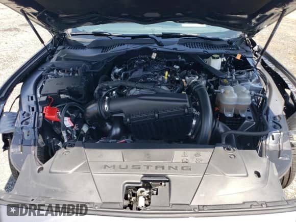 2024 Ford Mustang EcoBoost z VIN 1FAGP8UH1R5136541, wystawiony jako Copart lot #61732655 z przebiegiem 18 412 mil mil oraz Szkoda całkowita • Salvage title. Historia ofert i sprzedaży dostępna na DreamBid. Obrazek 11.