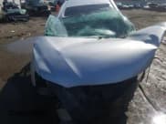 ✅ 2007 Toyota Camry CE • VIN: 4T1BE46K97U693983 • Lot: 43045141. Wystawiony na Copart z przebiegiem Nie podano. Bezpłatny archiwum sprzedaży aukcyjnych z USA i szczegółowy raport historii pojazdu na DreamBid. Zdjęcie 7.