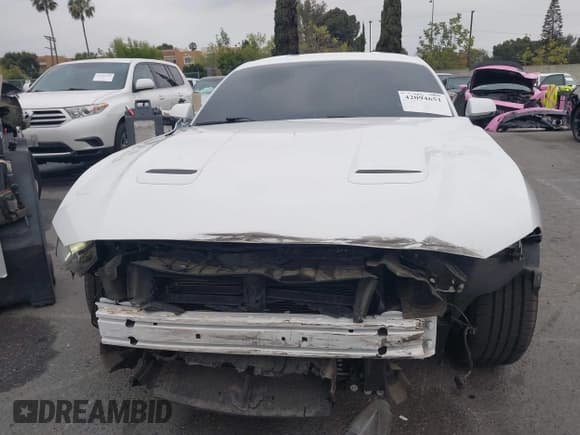 ✅ 2019 Ford Mustang EcoBoost • VIN: 1FA6P8TH6K5176777 • Lot: 42094651. Listed on IAAI with 51,641 mi. Free auction sales archive from the USA and detailed vehicle history report at DreamBid. Image 13.