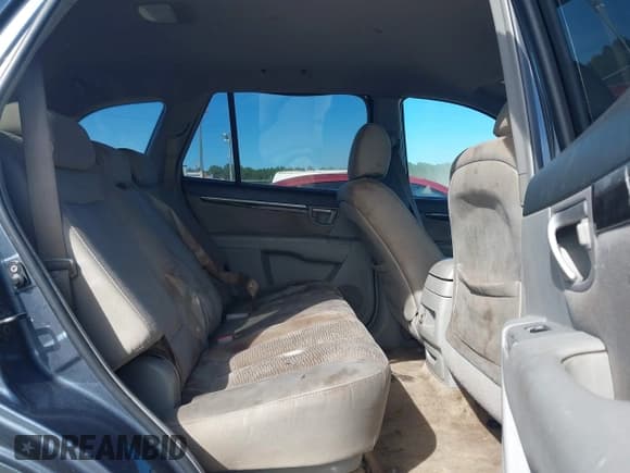 ✅ 2007 Hyundai Santa Fe GLS • VIN: 5NMSG13DX7H055218 • Lot: 43523781. Listed on IAAI with 276,204 mi. Free auction sales archive from the USA and detailed vehicle history report at DreamBid. Image 8.