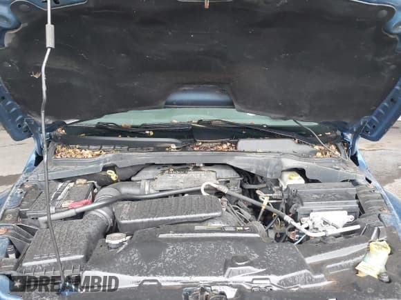 ✅ 2005 Dodge Durango SLT • VIN: 1D4HB48D05F544744 • Лот: 43427770. Опубликован ранее на IAAI с пробегом 194 327 миль. Бесплатный доступ к архиву аукционных продаж из США и подробный отчёт об истории автомобиля на DreamBid. Изображение 10.