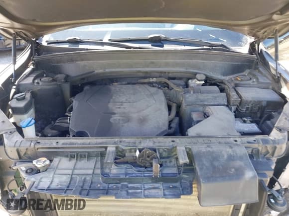 ✅ 2020 Kia Telluride EX • VIN: 5XYP34HCXLG030097 • Lot: 43444210. Wystawiony na IAAI z przebiegiem 104 638 mil. Bezpłatny archiwum sprzedaży aukcyjnych z USA i szczegółowy raport historii pojazdu na DreamBid. Zdjęcie 10.