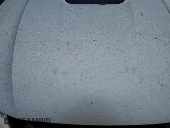 ✅ 2000 Ford Mustang GT • VIN: 1FAFP45XXYF256180 • Lot: 85671225. Listed on Copart with Not provided. Free auction sales archive from the USA and detailed vehicle history report at DreamBid. Image 11.