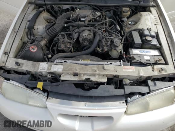 ✅ 1997 Ford Thunderbird LX • VIN: 1FALP62W5VH124101 • Lot: 47547695. Listed on Copart with 148,828 mi. Free auction sales archive from the USA and detailed vehicle history report at DreamBid. Image 13.