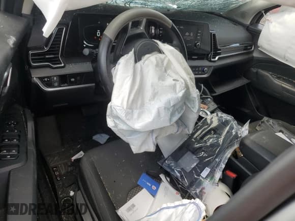 ✅ 2024 Kia Sportage LX • VIN: KNDPUCDG0R7125564 • Lot: 54353765. Listed on Copart with 34,240 mi. Free auction sales archive from the USA and detailed vehicle history report at DreamBid. Image 8.