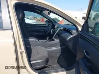 2024 Hyundai Santa Cruz SEL с VIN 5NTJB4AE7RH088708, выставлен на аукционе IAAI как лот 40751476 с пробегом 26 736 миль миль и . История ставок и продаж доступна на DreamBid. Изображение 5.