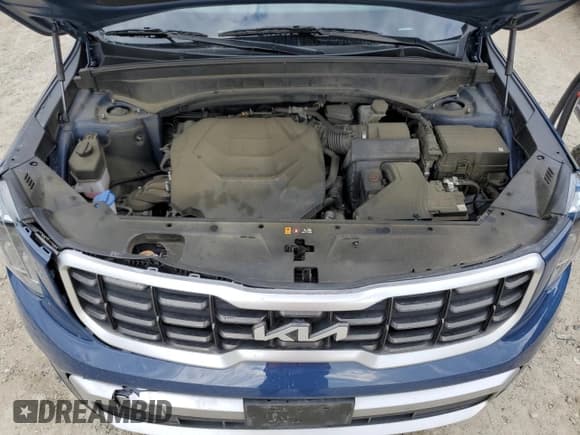 ✅ 2023 Kia Telluride S • VIN: 5XYP6DGC0PG353346 • Lot: 55892605. Listed on Copart with 50,604 mi. Free auction sales archive from the USA and detailed vehicle history report at DreamBid. Image 12.