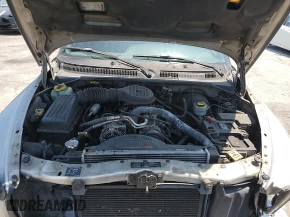 ✅ 1999 Dodge Durango • VIN: 1B4HR28Y2XF618309 • Lot: 60302875. Wystawiony na Copart z przebiegiem 175 030 mil. Bezpłatny archiwum sprzedaży aukcyjnych z USA i szczegółowy raport historii pojazdu na DreamBid. Zdjęcie 12.