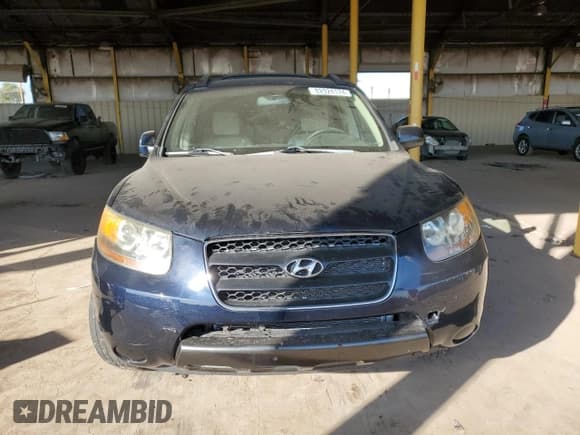 ✅ 2007 Hyundai Santa Fe GLS • VIN: 5NMSG13D67H113695 • Lot: 82924174. Listed on Copart with 187,897 mi. Free auction sales archive from the USA and detailed vehicle history report at DreamBid. Image 5.