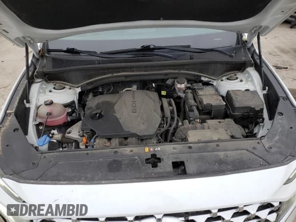 ✅ 2021 Hyundai Santa Fe SEL • VIN: 5NMS3DAJXMH319037 • Lot: 37405434. Wystawiony na Copart z przebiegiem 61 245 mil. Bezpłatny archiwum sprzedaży aukcyjnych z USA i szczegółowy raport historii pojazdu na DreamBid. Zdjęcie 12.