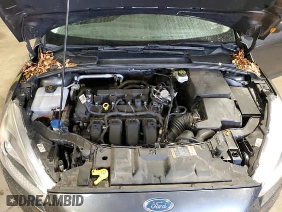 ✅ 2018 Ford Focus SE • VIN: 1FADP3F27JL219566 • Lot: 92574245. Wystawiony na Copart z przebiegiem 62 658 mil. Bezpłatny archiwum sprzedaży aukcyjnych z USA i szczegółowy raport historii pojazdu na DreamBid. Zdjęcie 11.