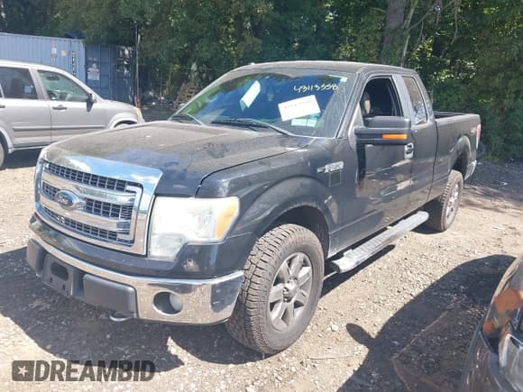 ✅ 2013 Ford F-150 XL • VIN: 1FTFX1EF8DFA77176 • Лот: 43113558. Опубликован ранее на IAAI с пробегом 147 808 миль. Бесплатный доступ к архиву аукционных продаж из США и подробный отчёт об истории автомобиля на DreamBid. Изображение 2.