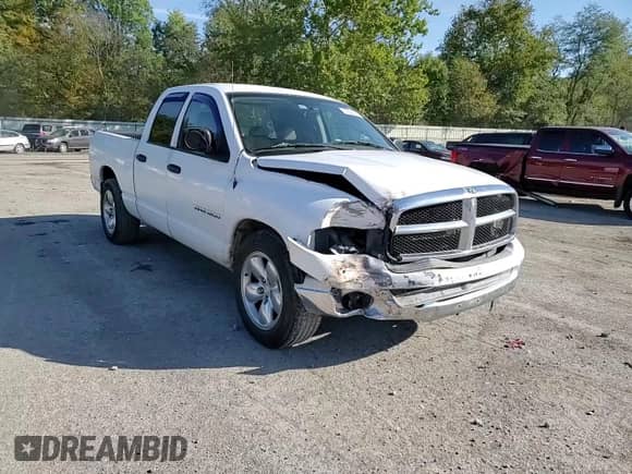 2004 Dodge 1500 SLT с VIN 1D7HA18N24S741272, выставлен на аукционе Copart как лот 74336294 с пробегом 193 594 миль миль и Списание • Salvage title. История ставок и продаж доступна на DreamBid. Изображение 10.